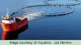 Aqualine cages